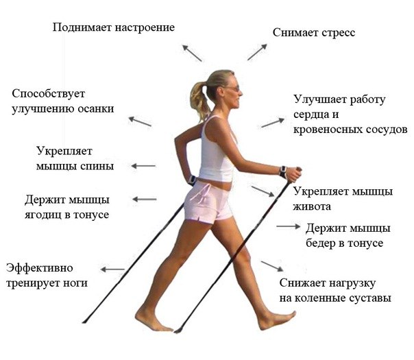 skandinavskaya xodba s palkami polza protivopokazaniya4